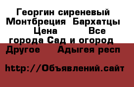 Георгин сиреневый. Монтбреция. Бархатцы.  › Цена ­ 100 - Все города Сад и огород » Другое   . Адыгея респ.